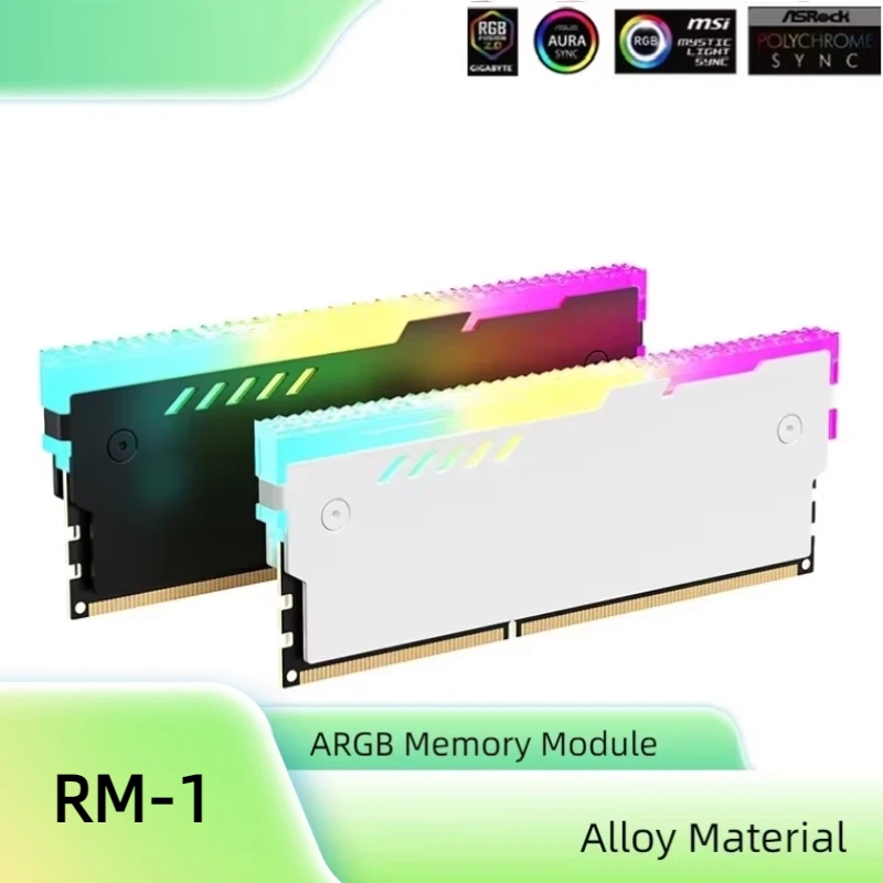 PC Memory Heatsink RM-1 RAM Co - đánh giá và giá Ddr5 Memory